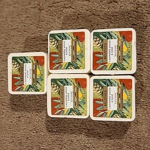 Beloved cashmere wood & sage bath bomb